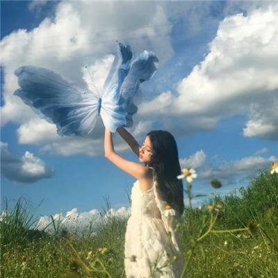 贵妃她每天都想逃离皇宫